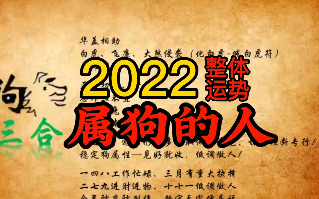 属狗的人2022整体运势哔哩哔哩bilibili