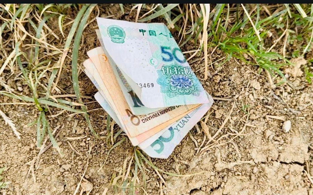 地上掉钱,有生活经验的人都不会捡,不管多少,学会记得告知家人