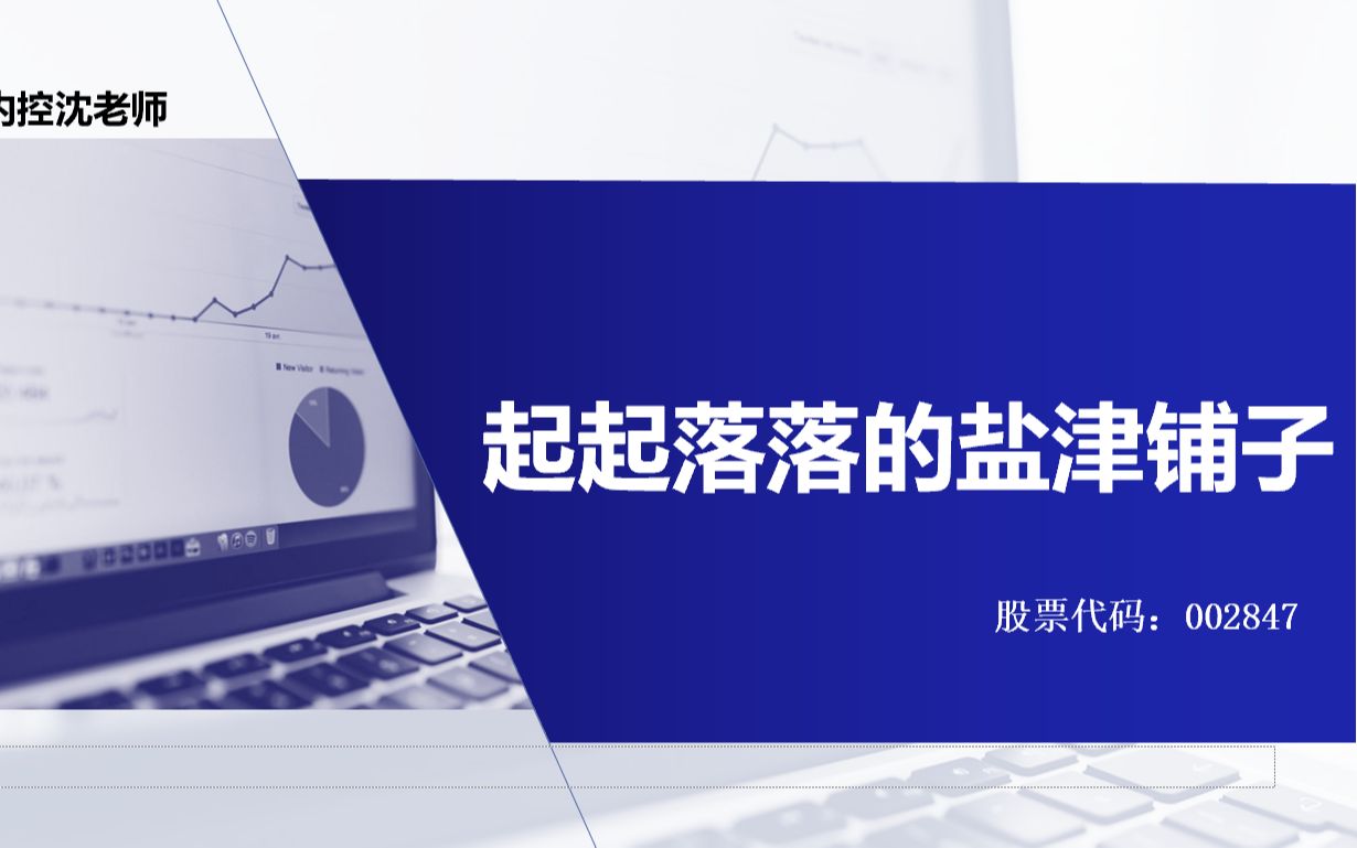 1000家上市公司财务研报挑战(8)盐津铺子(002847)哔哩哔哩bilibili