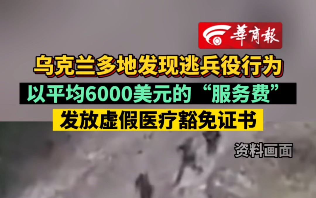 乌克兰多地发现逃兵役行为 以平均6000美元的“服务费”发放虚假医疗豁免证书哔哩哔哩bilibili