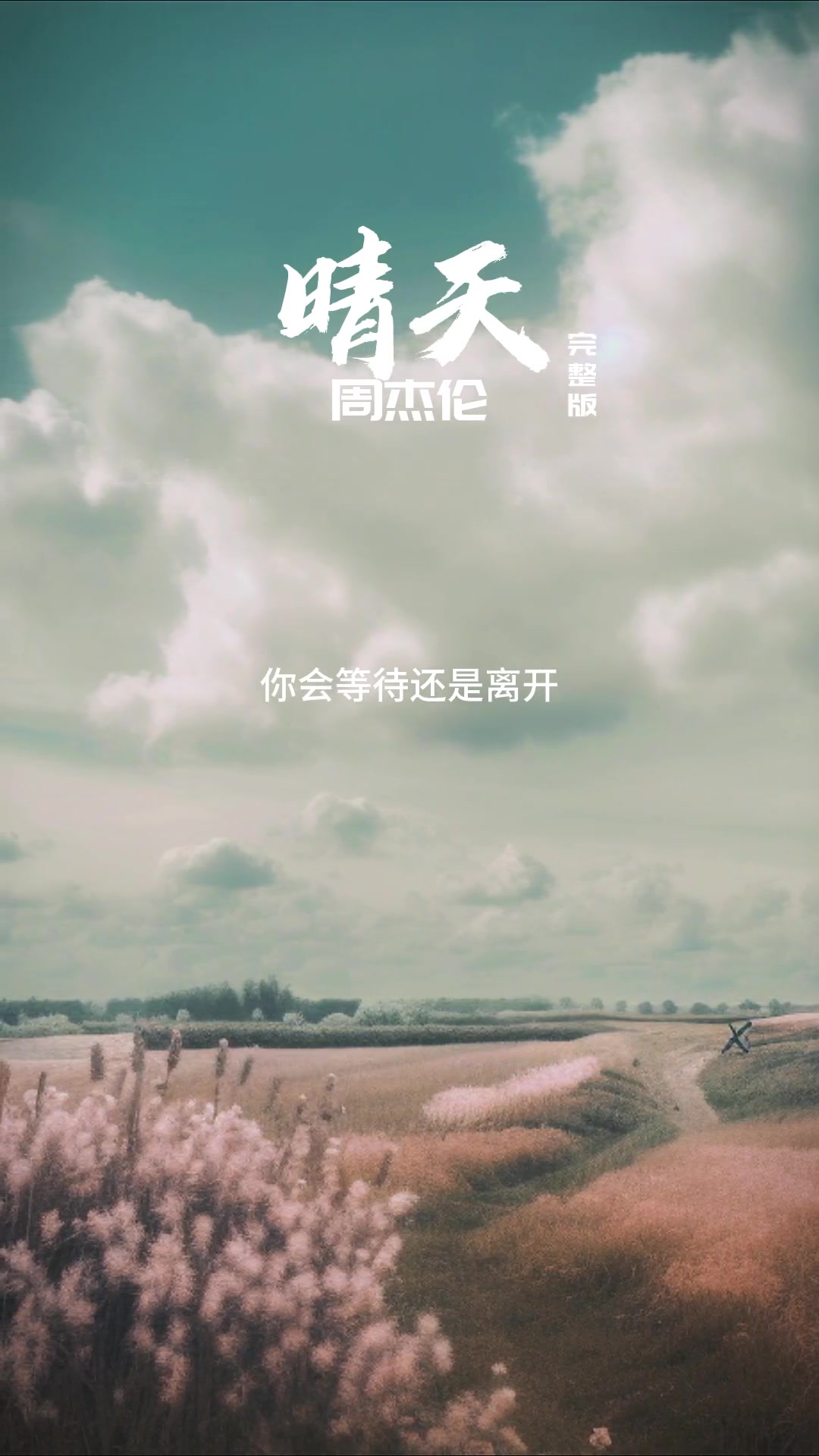 如果你喜欢听周杰伦的晴天那么我敢打赌你一定有一个很爱的人周杰