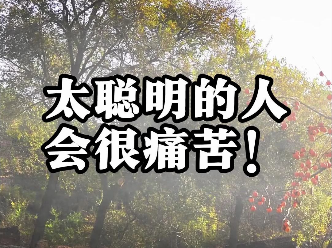 太聪明的人,会很痛苦!