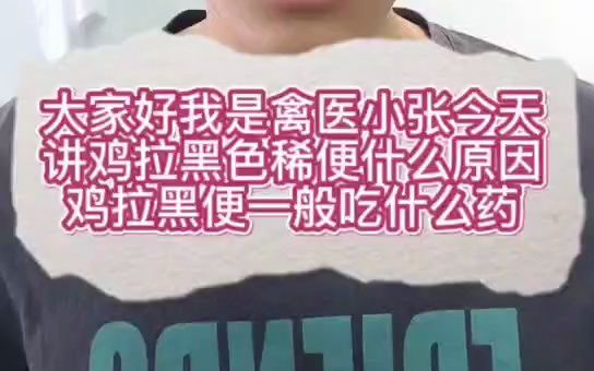 禽医小张讲鸡拉黑色稀便什么原因?鸡拉黑色焦油粪便怎么治疗?鸡拉黑便一般吃什么药鸡拉巧克力颜色粪便鸡拉棕色的稀屎怎么办小鸡拉黑色的稀屎是怎么...