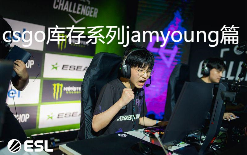 csgo库存系列之jamyoung(小菊)