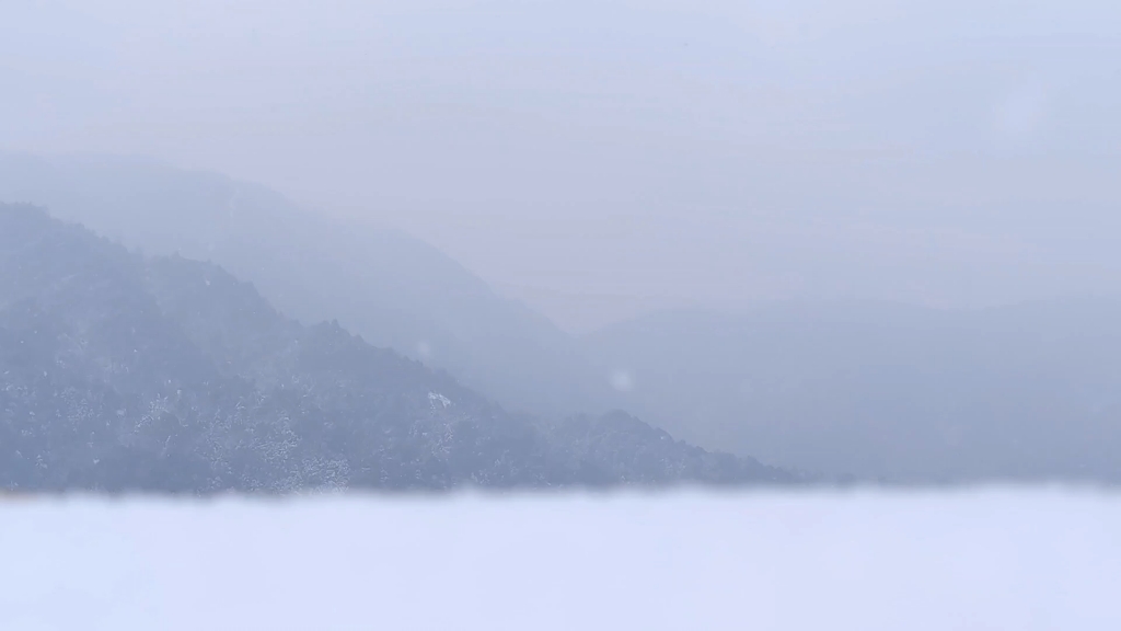 [图]寒风凛冽，白雪纷飞