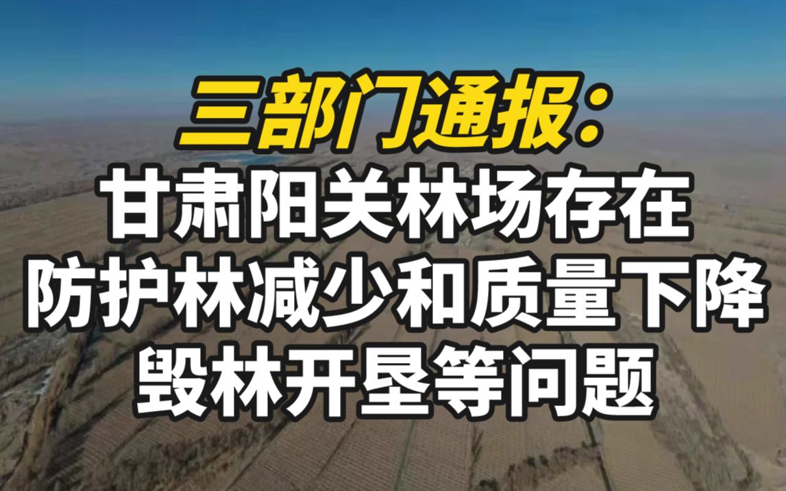 三部门通报:甘肃阳关林场存在防护林减少和质量下降、毁林开垦等问题哔哩哔哩bilibili