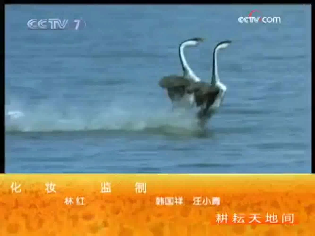 绿色时空2009片尾哔哩哔哩bilibili