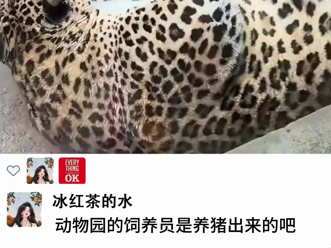 “养猪专业户”哔哩哔哩bilibili