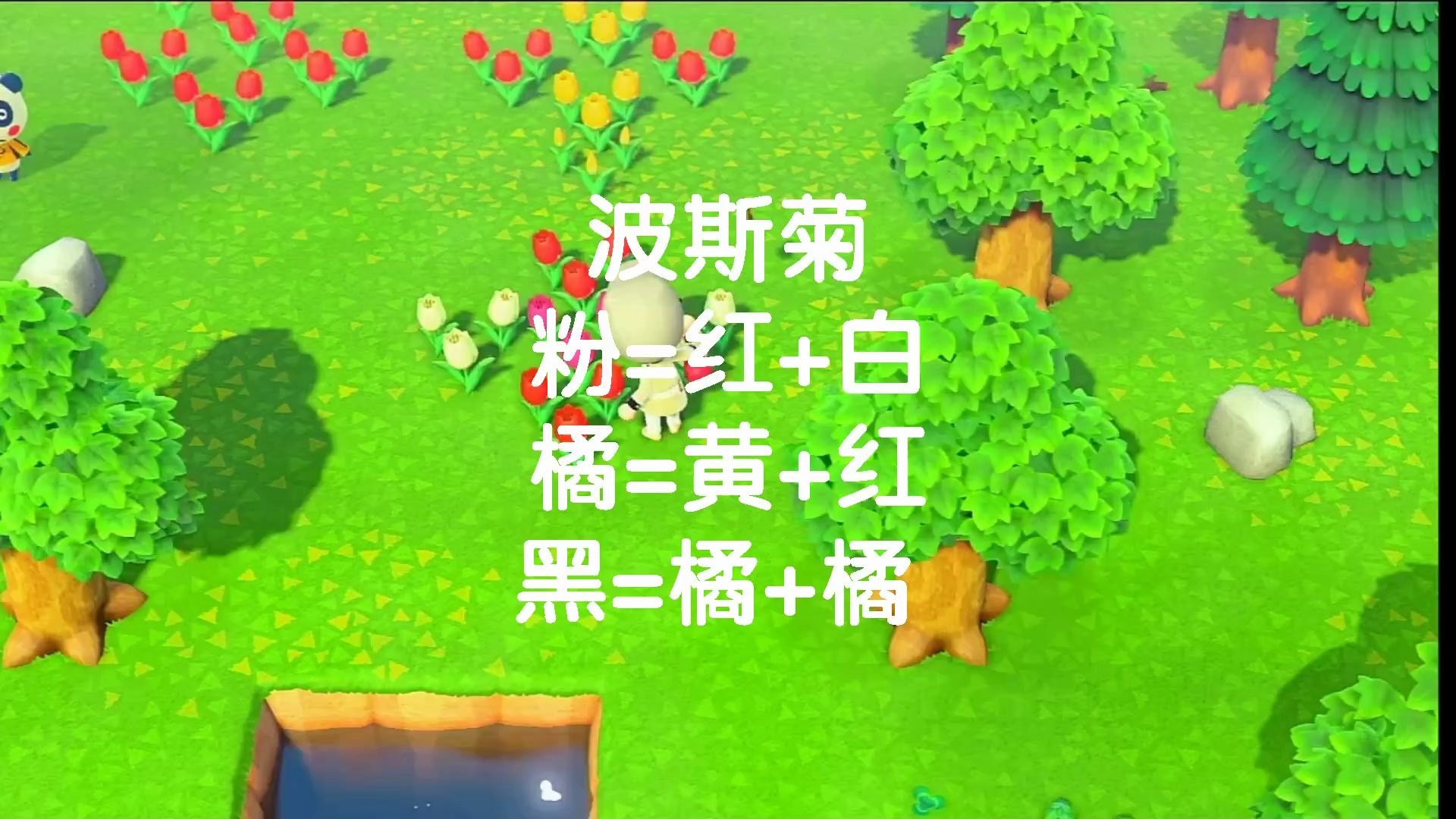 动物之森如何花卉杂交全花种颜色搭配