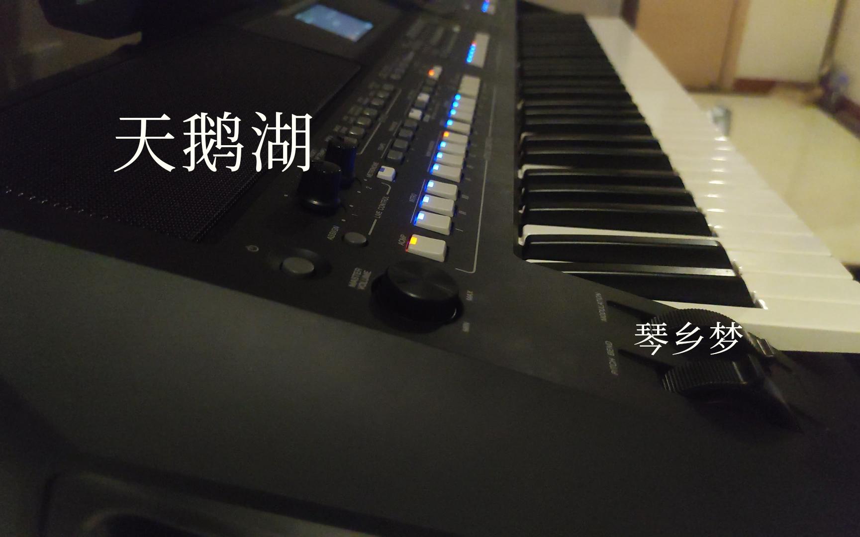 [图]《天鹅湖》场景音乐 YAMAHA SX600 演奏