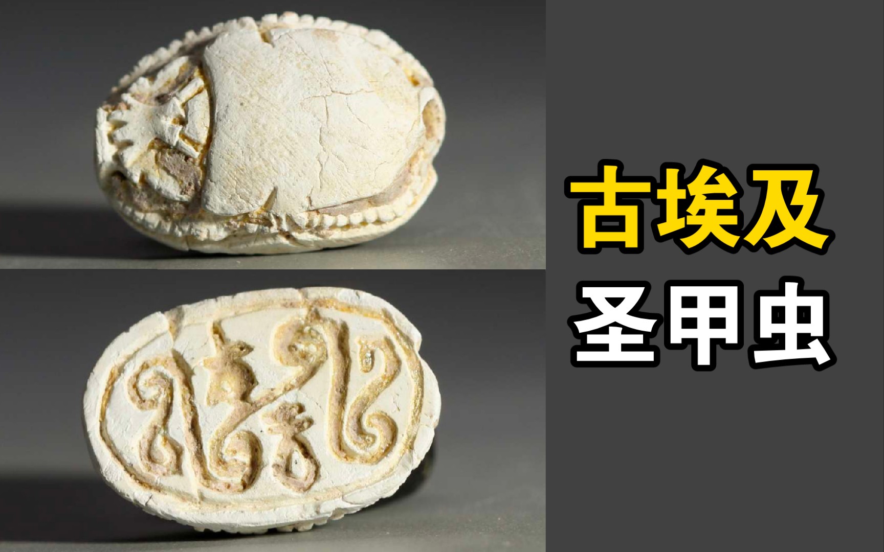 古埃及新王国时期 滑石圣甲虫(149)