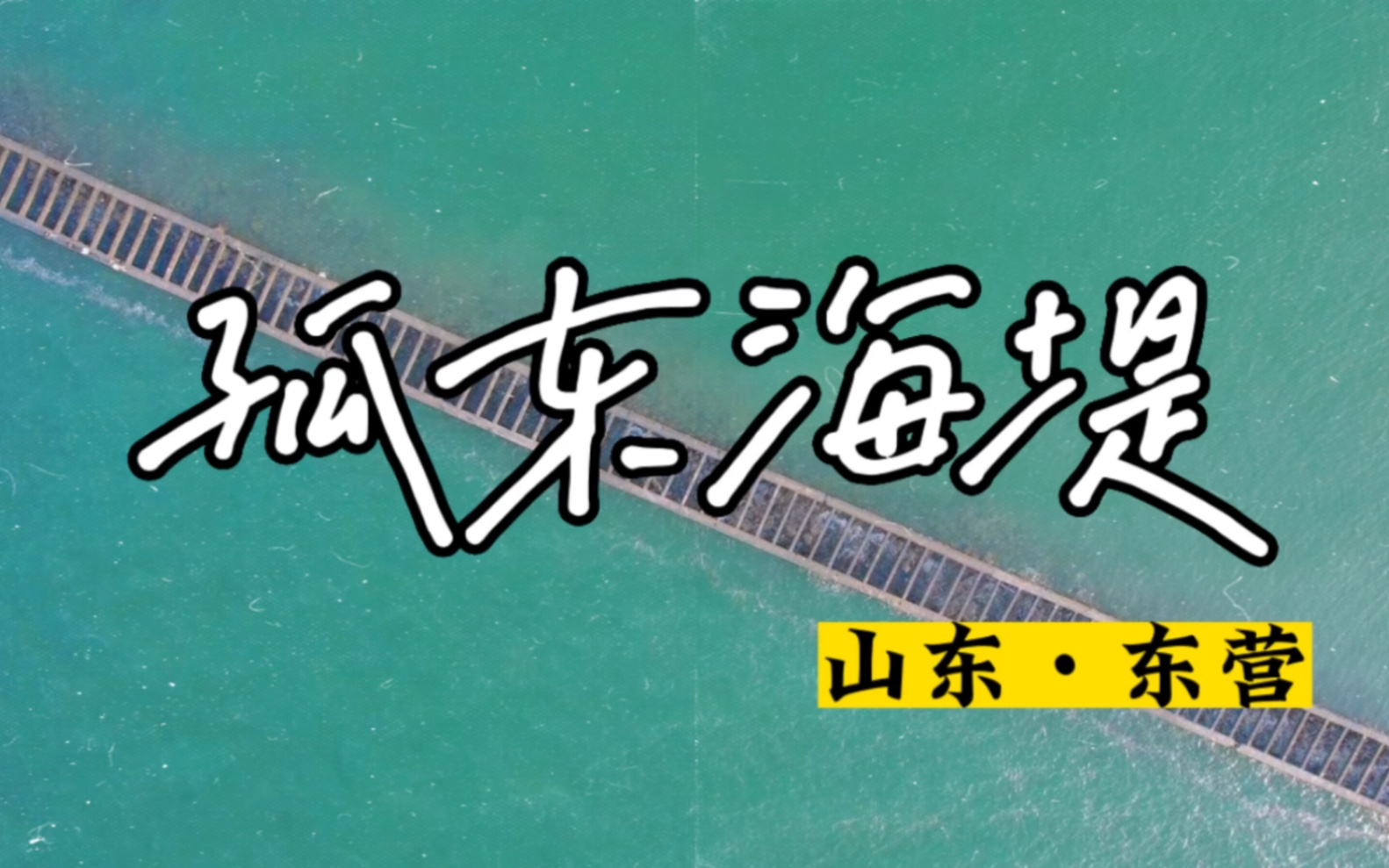 你知道吗?山东有个城市叫东营,东营有个小镇叫孤岛,孤岛上有…..哔哩哔哩bilibili