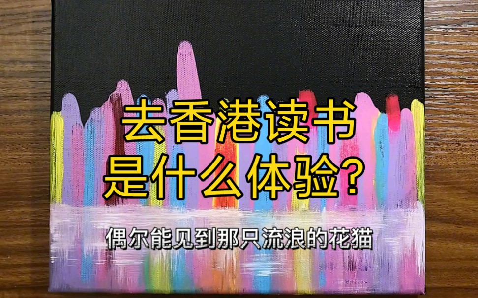 2005年的一个夏天,我在香港科技大学做交换生哔哩哔哩bilibili