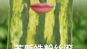 【极丝发言】举报我，那我就视频发，苏新皓粉丝滚远点，恶心的东西