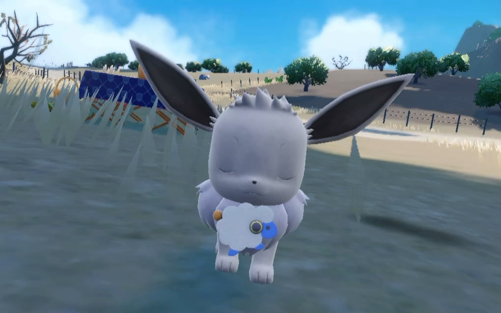 为啥我家的小伊布都是白色的啊?