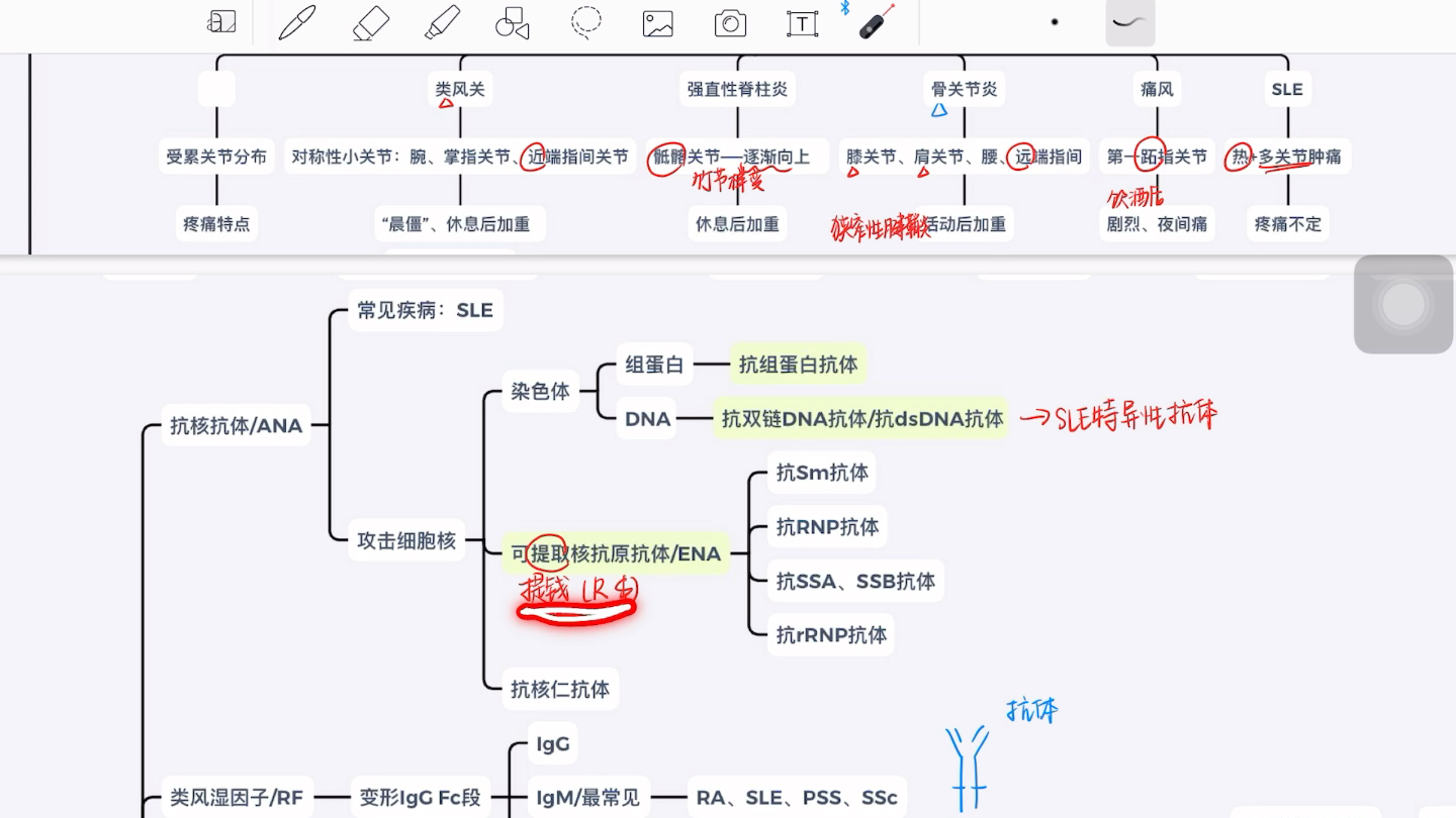 【复盘】内科风湿免疫总论哔哩哔哩bilibili