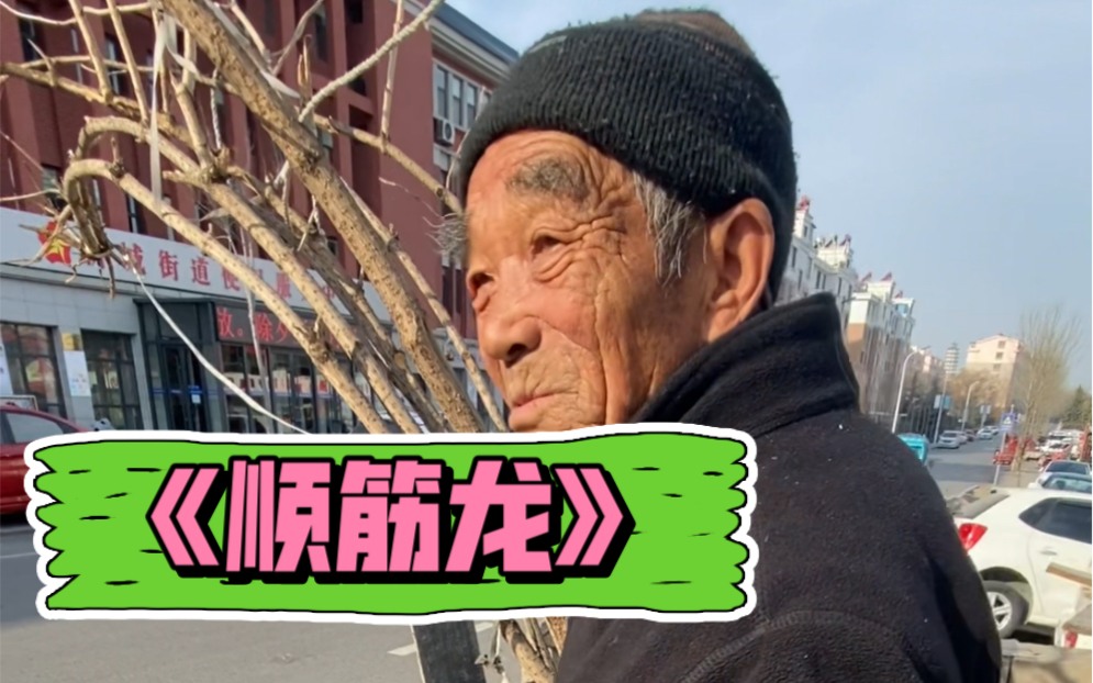 跌打损伤药材 顺筋龙_哔哩哔哩_bilibili