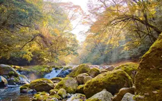 熊本池 搜索结果 哔哩哔哩 Bilibili