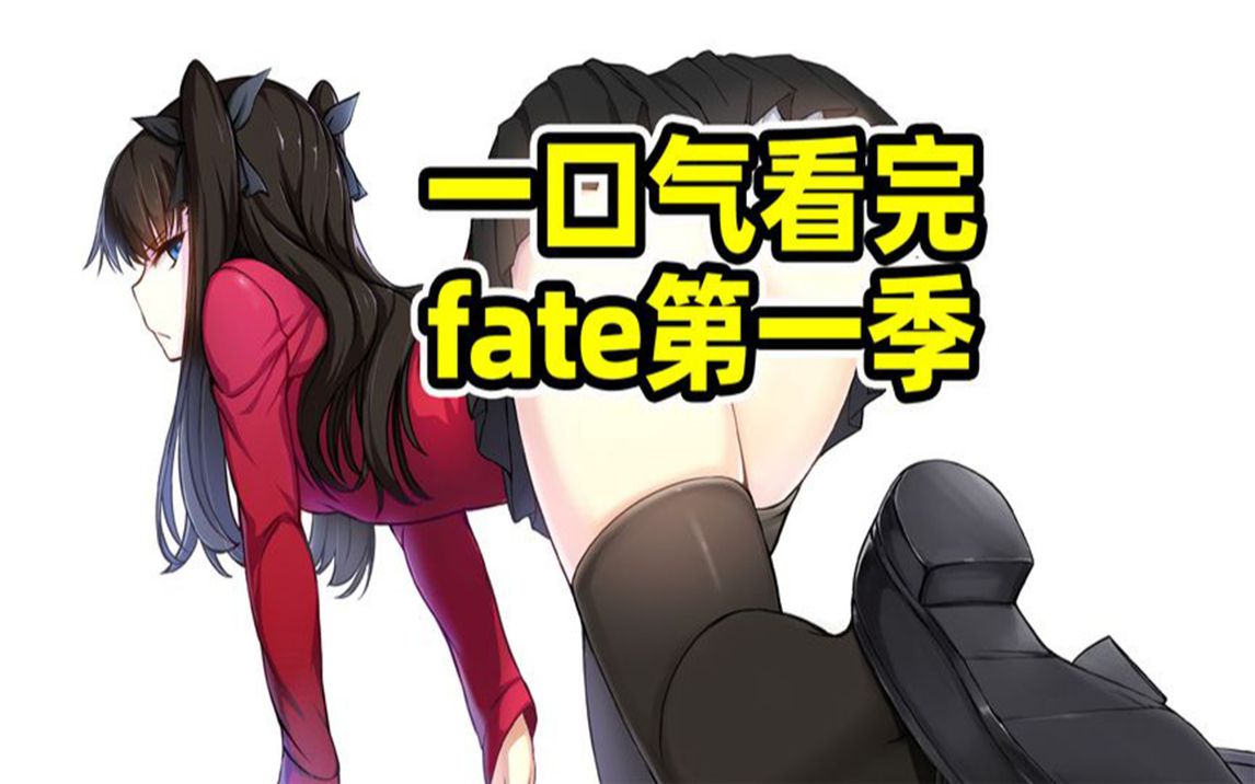 【fate】一口气看完命运之夜第一季！男人回到过去只为鲨了自己！