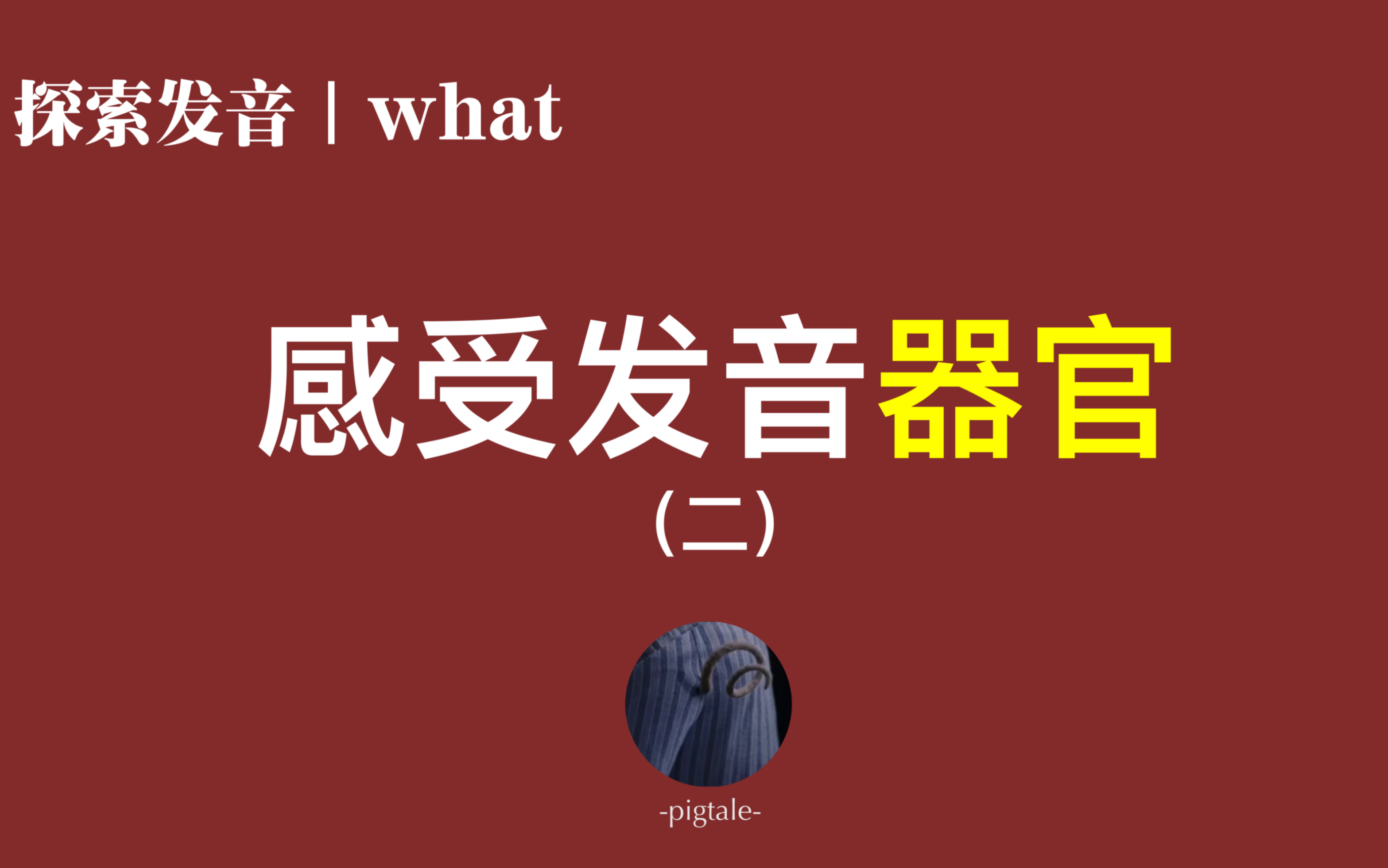 探索英语发音|WHAT系列|感受发音器官第二部分哔哩哔哩bilibili