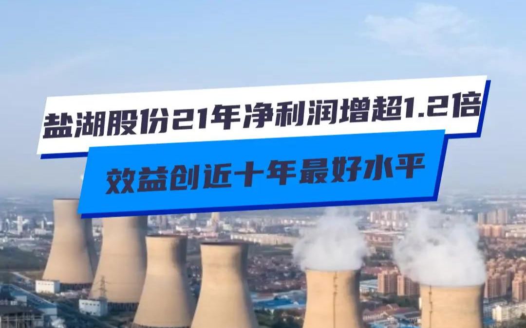 盐湖股份2021年净利润增超1.2倍 效益创近十年最好水平哔哩哔哩bilibili