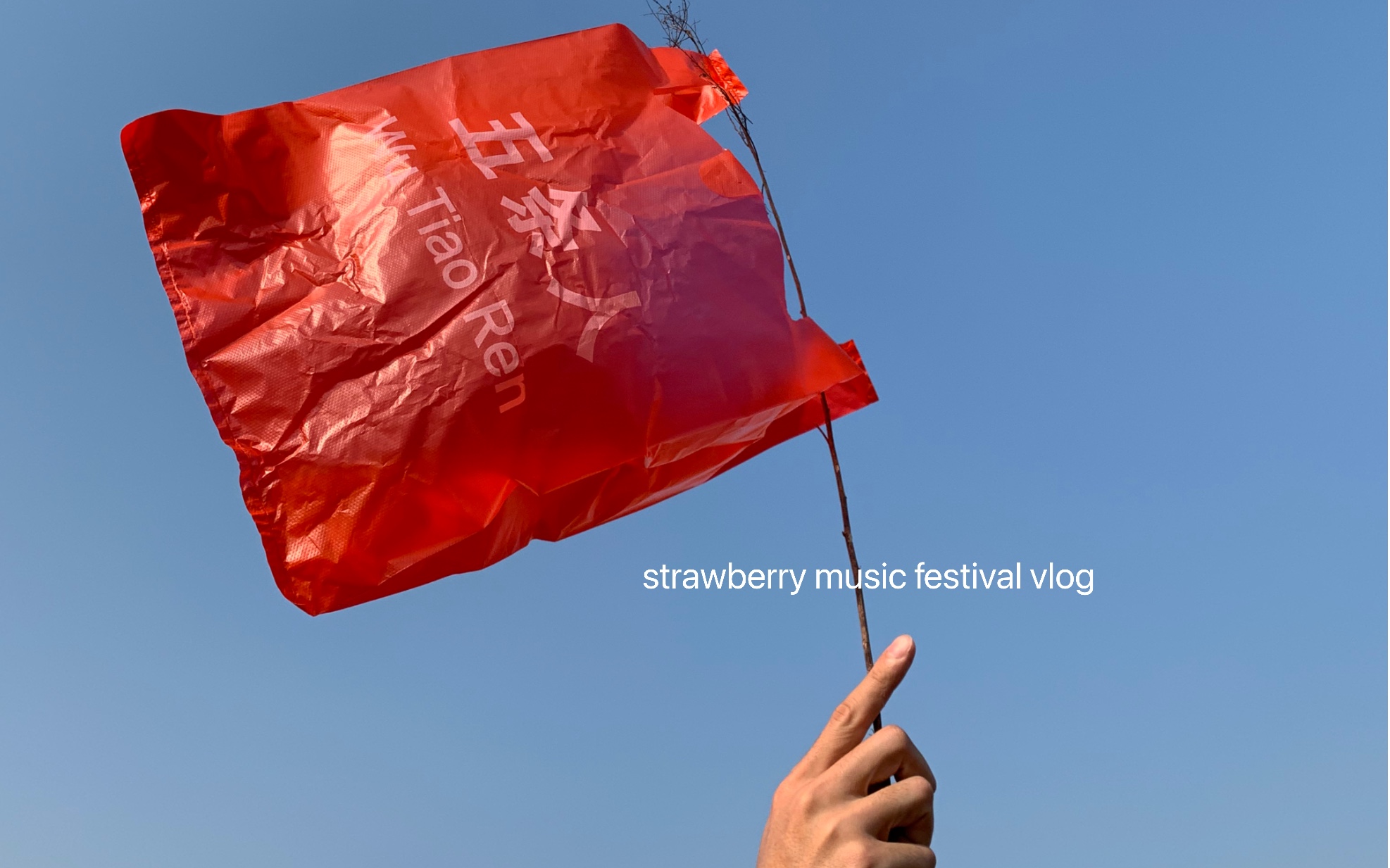 vlog丨第一次去看草莓音乐节