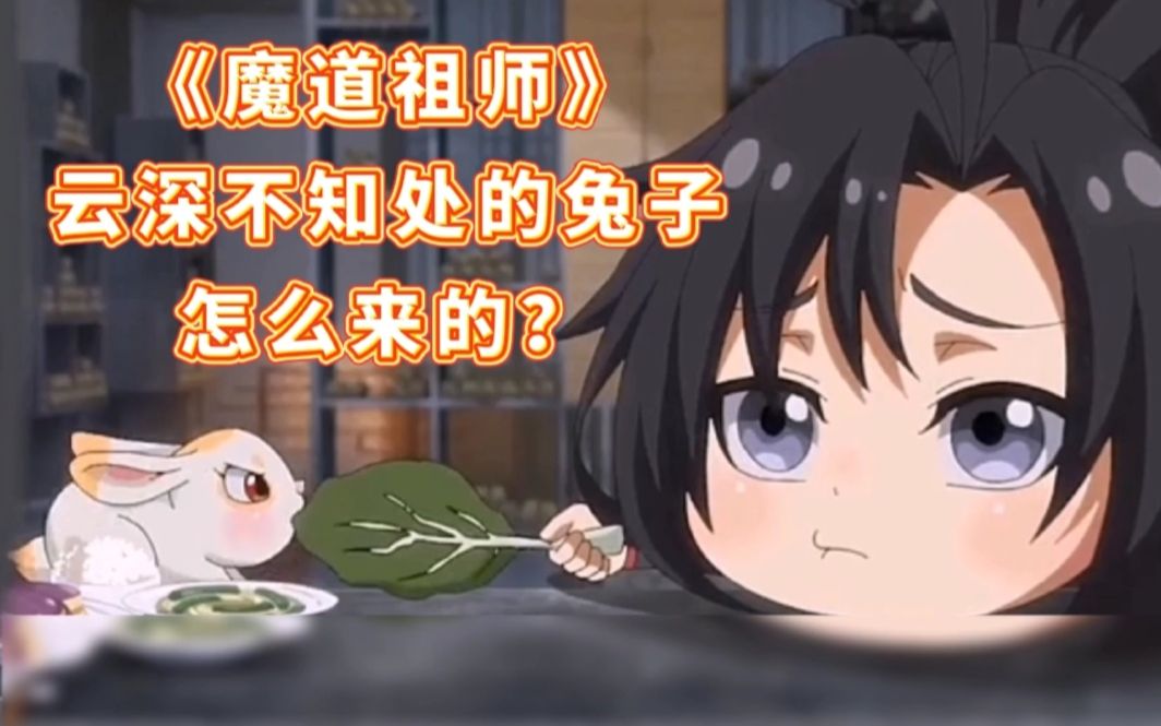 【魔道祖师】云深不知处境内的兔子怎么来的?