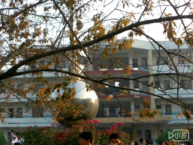 收藏 硬币- 稍后看马克一下~ 用手机看离线看更方便 通许县实验中学