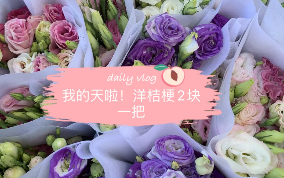 昆明的鲜花洋桔梗2元一把你会买吗?哔哩哔哩bilibili