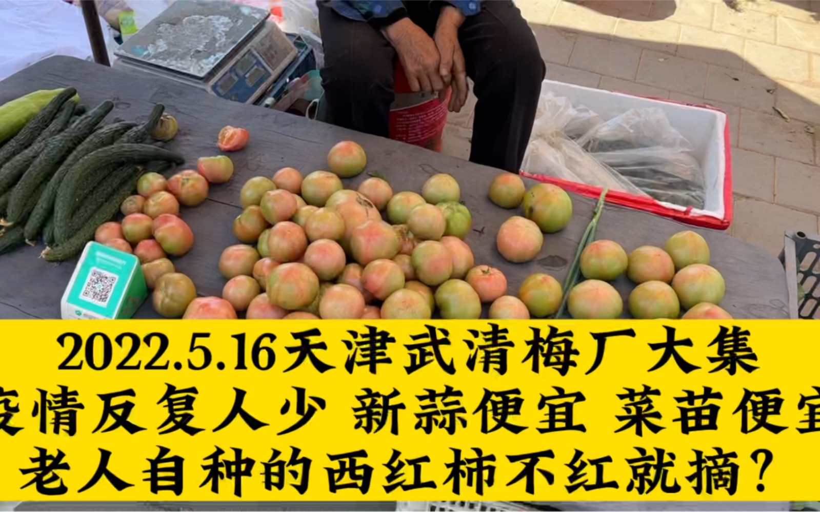 16天津武清梅厂大集疫情反复人少 新蒜便宜 菜苗便宜老人自种的西红柿