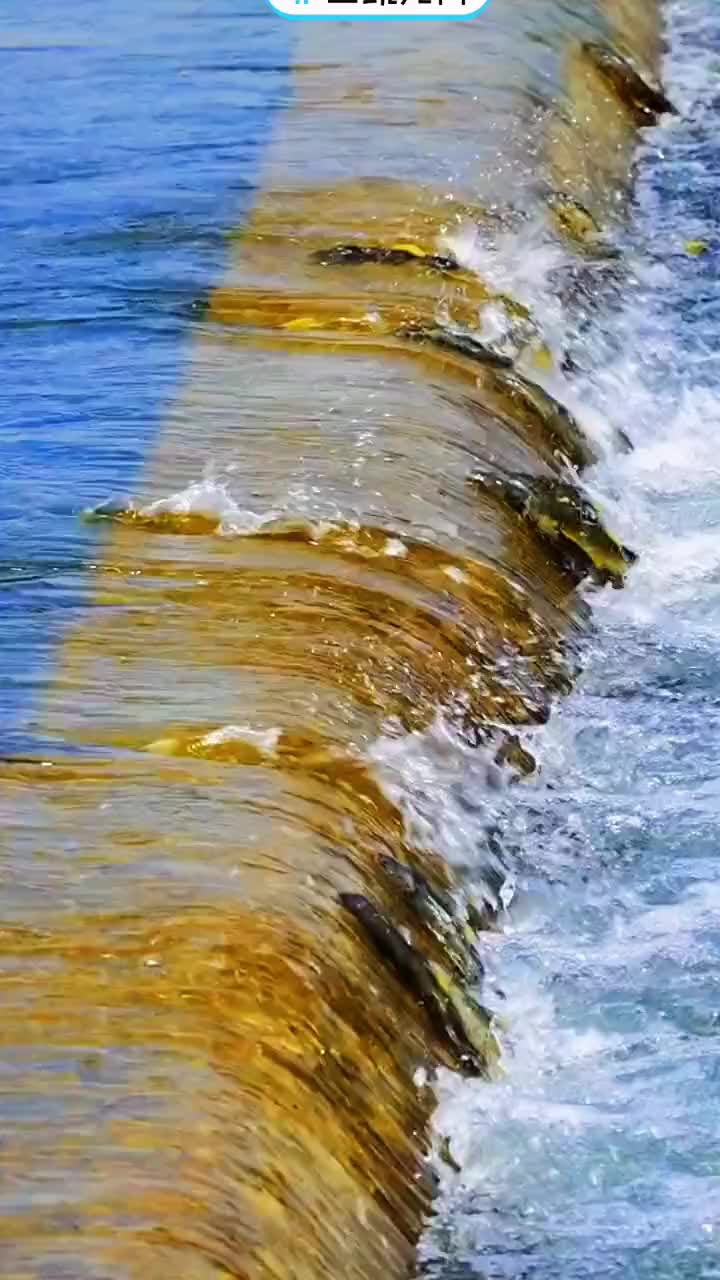 一起来玩水海滩景色美如画清澈见底的水海边随拍拥抱自然碧水蓝天