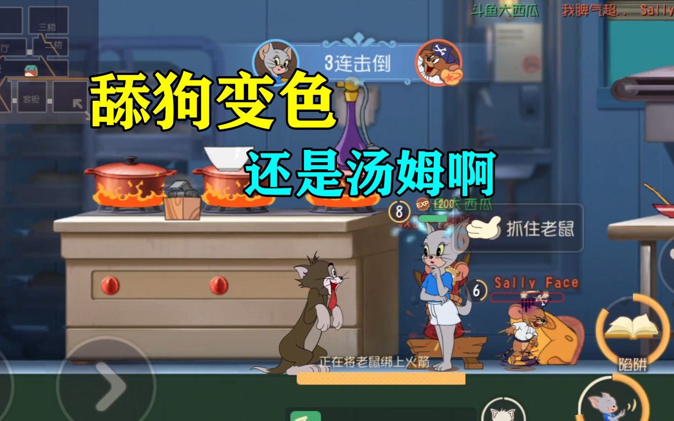 猫和老鼠手游:新猫"凯特"天梯表现