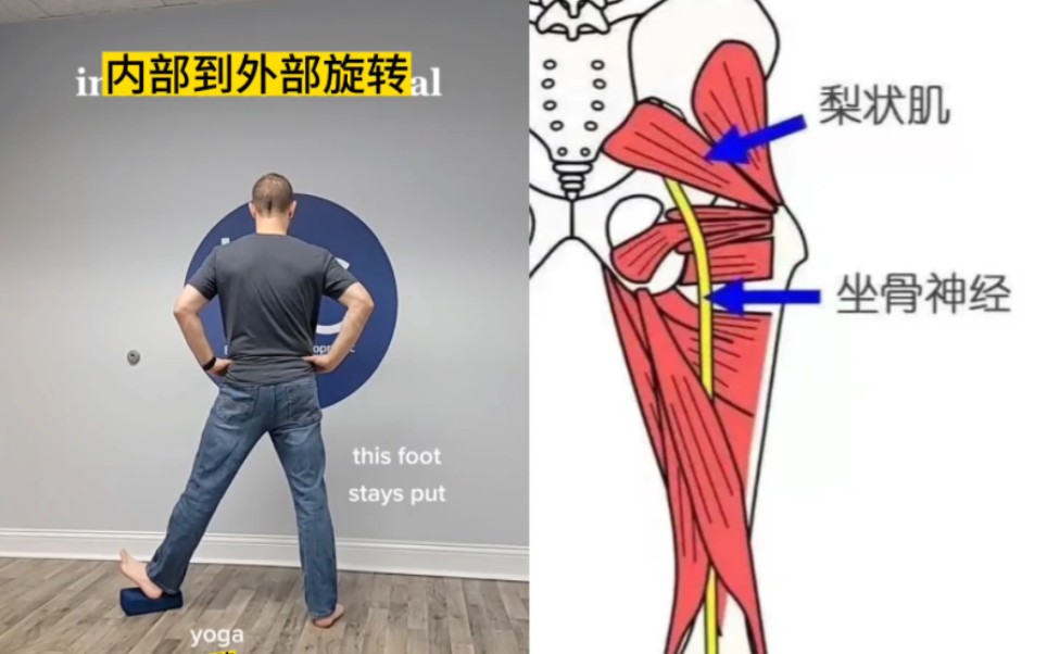 缓解长期久坐引起的梨状肌紧张疼痛,坐骨神经痛,提升髋关节活动范围