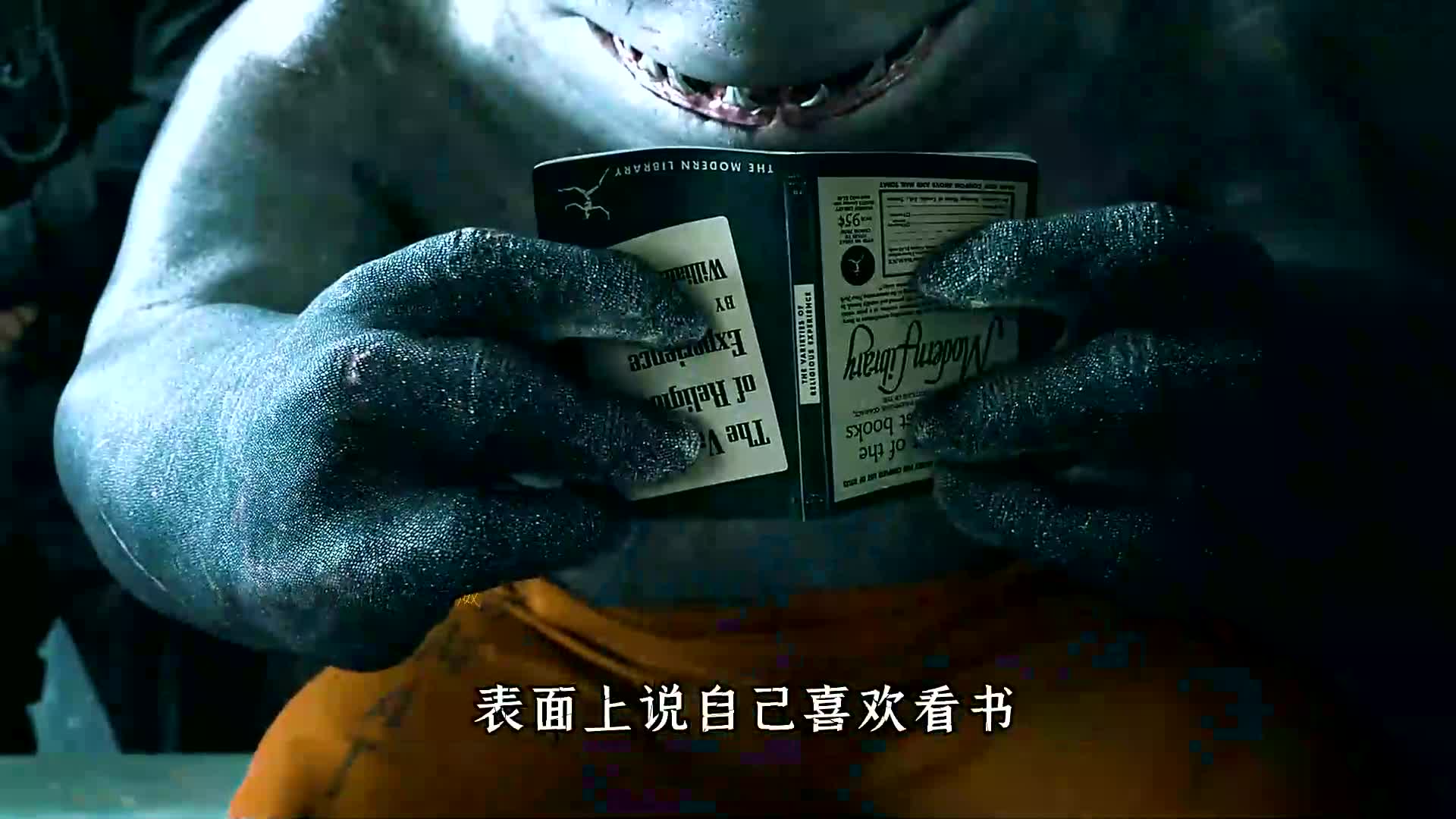 谁能拒绝一只蠢萌蠢萌的鲨鱼王呢?