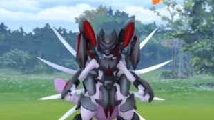 迟来的装甲超梦pokemon Go 哔哩哔哩 つロ干杯 Bilibili