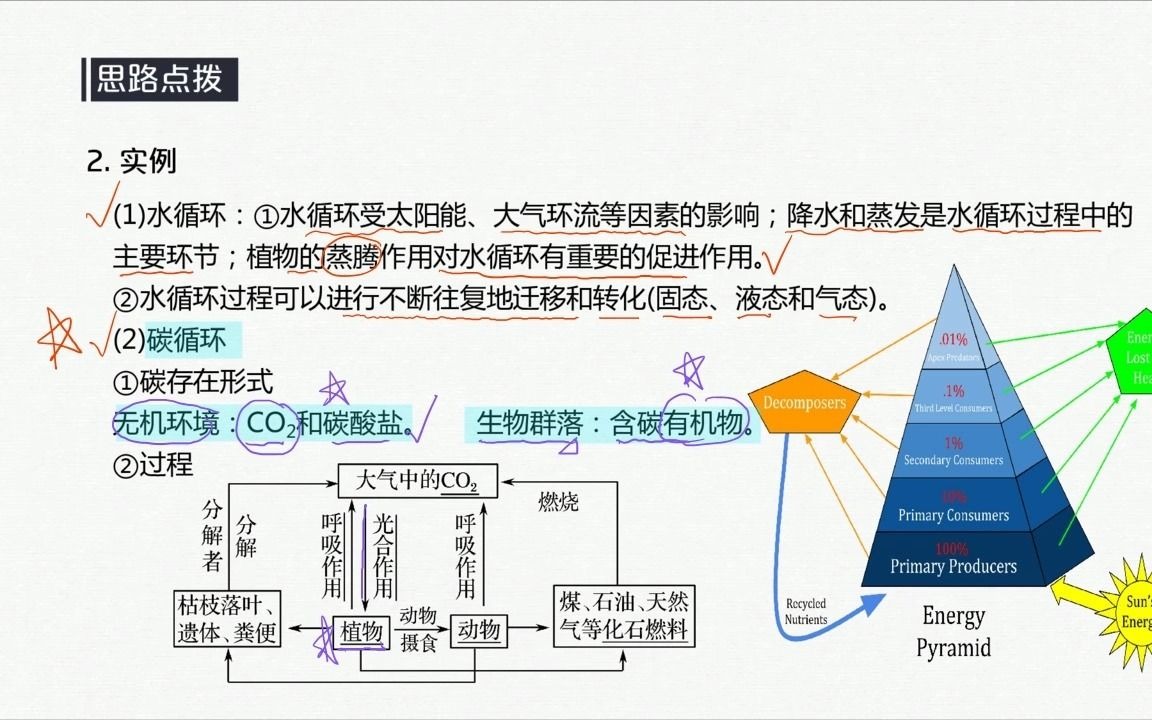 生态系统的物质循环哔哩哔哩bilibili