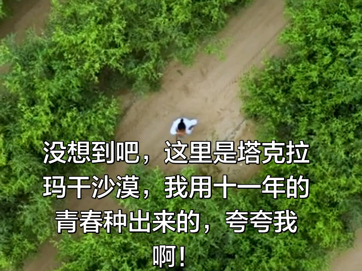 这里是塔克拉玛干沙漠，壮观吗？我种的哟