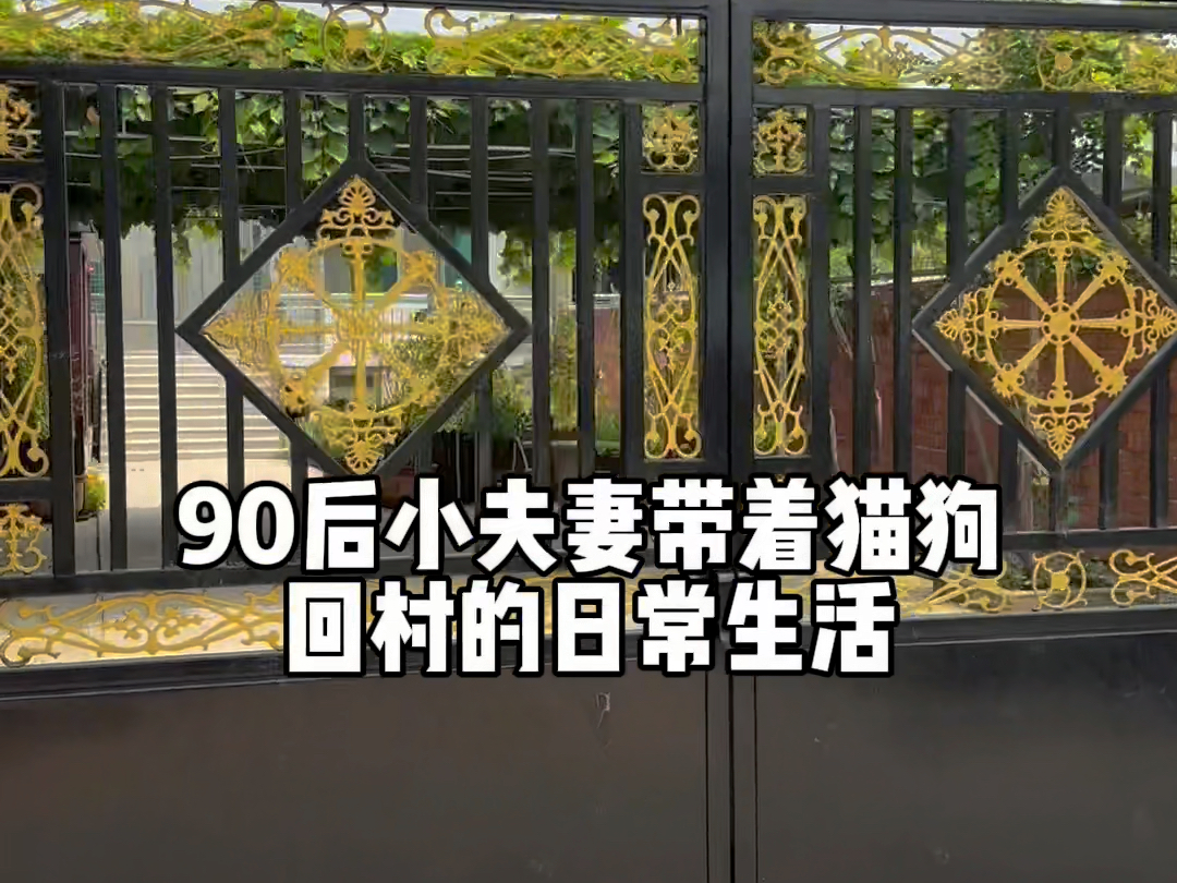 终于拥有了属于自己的小院子,过上了向往的农村生活哔哩哔哩bilibili