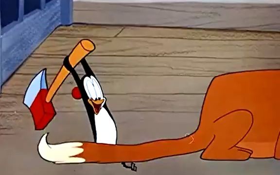 这只企鹅因为太怕冷,竟用大狗的尾巴做成毛皮大衣