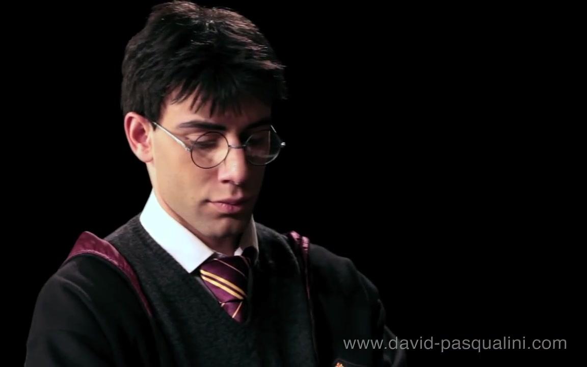 hedwigs theme 哈利波特 海德薇的主题 harry potter david
