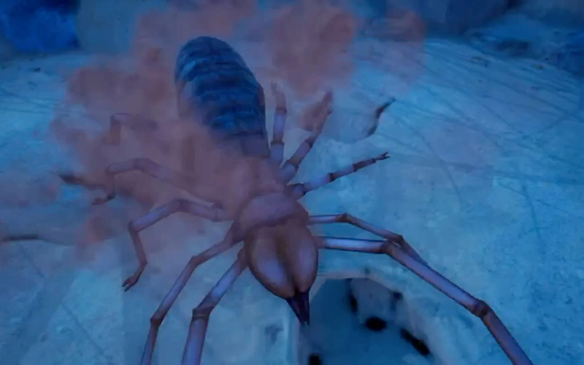 避日蛛进家门珍贵影像(转载)