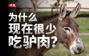 Télécharger la video: 驴肉那么好吃，为什么我们很少吃驴肉？【食录】