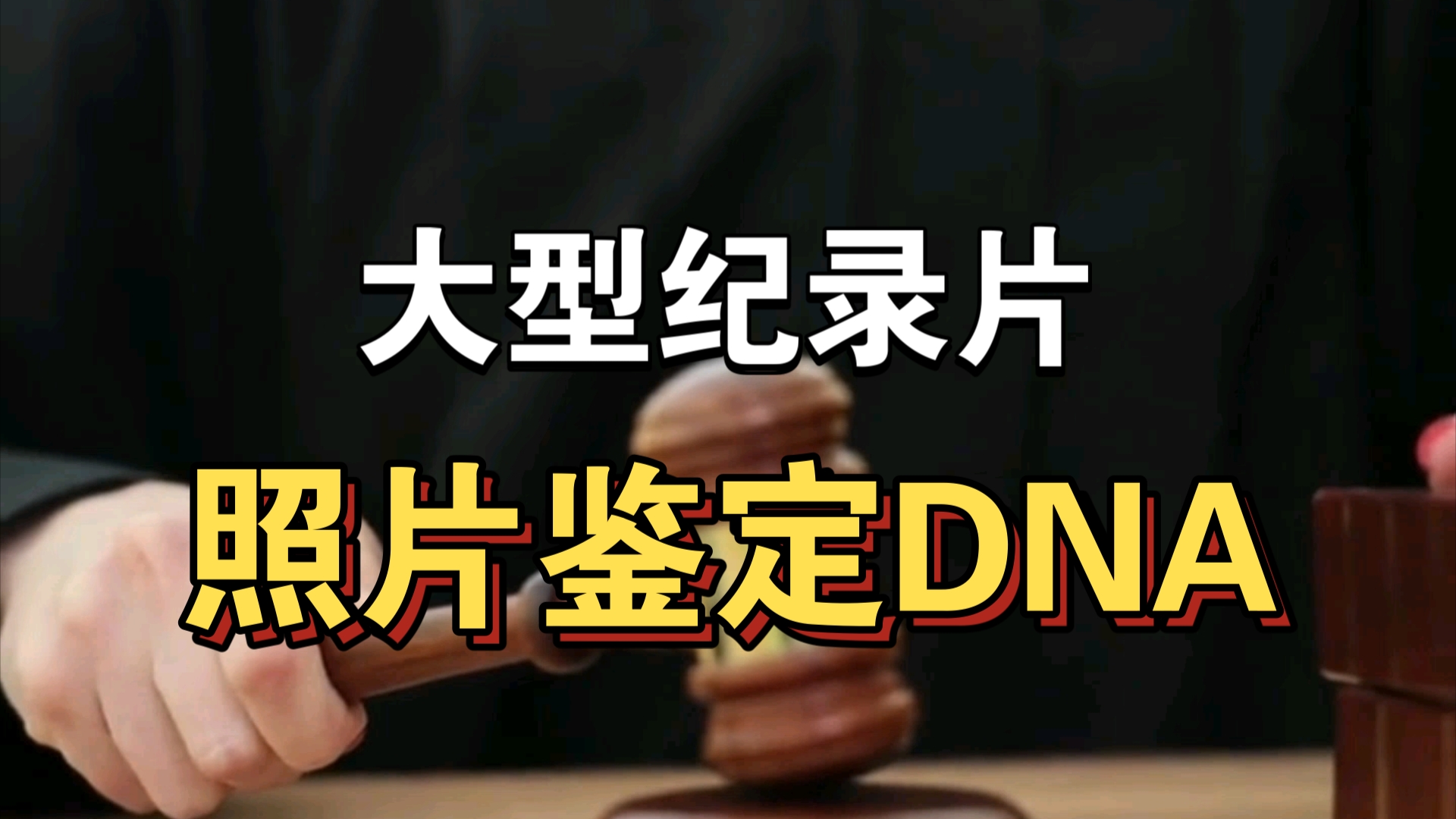 大型纪录片《照片鉴定DNA》持续为你播出!!!哔哩哔哩bilibili