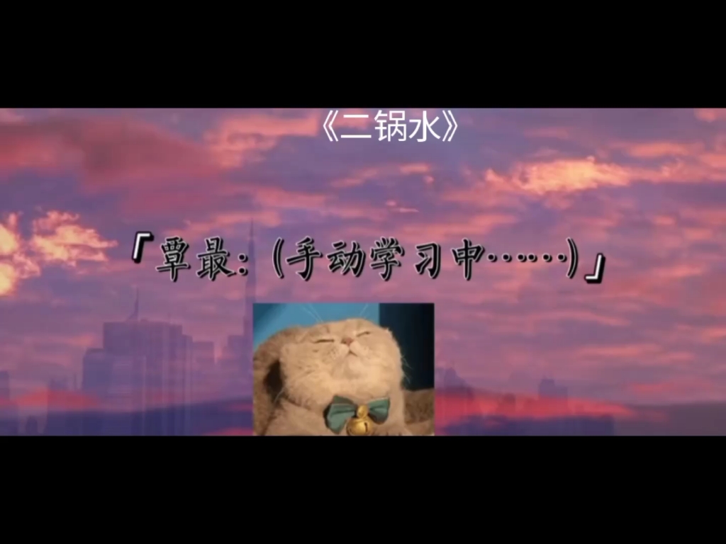 【二锅水】哔哩哔哩bilibili