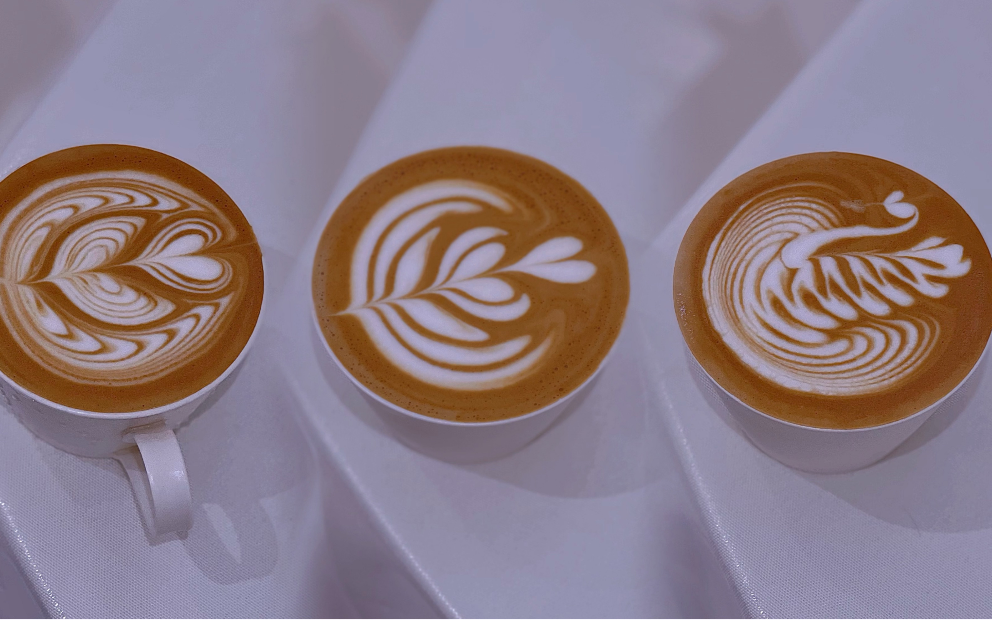 压纹郁金香 推推乐 天鹅拉花