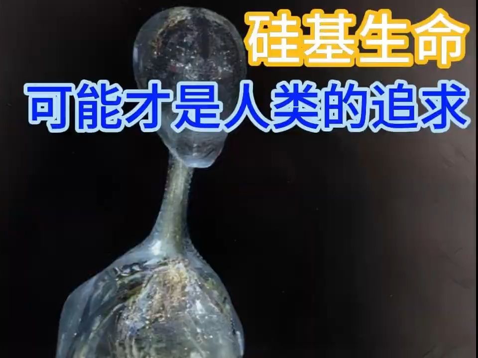 硅基生命可能才是人类追求永生的目标