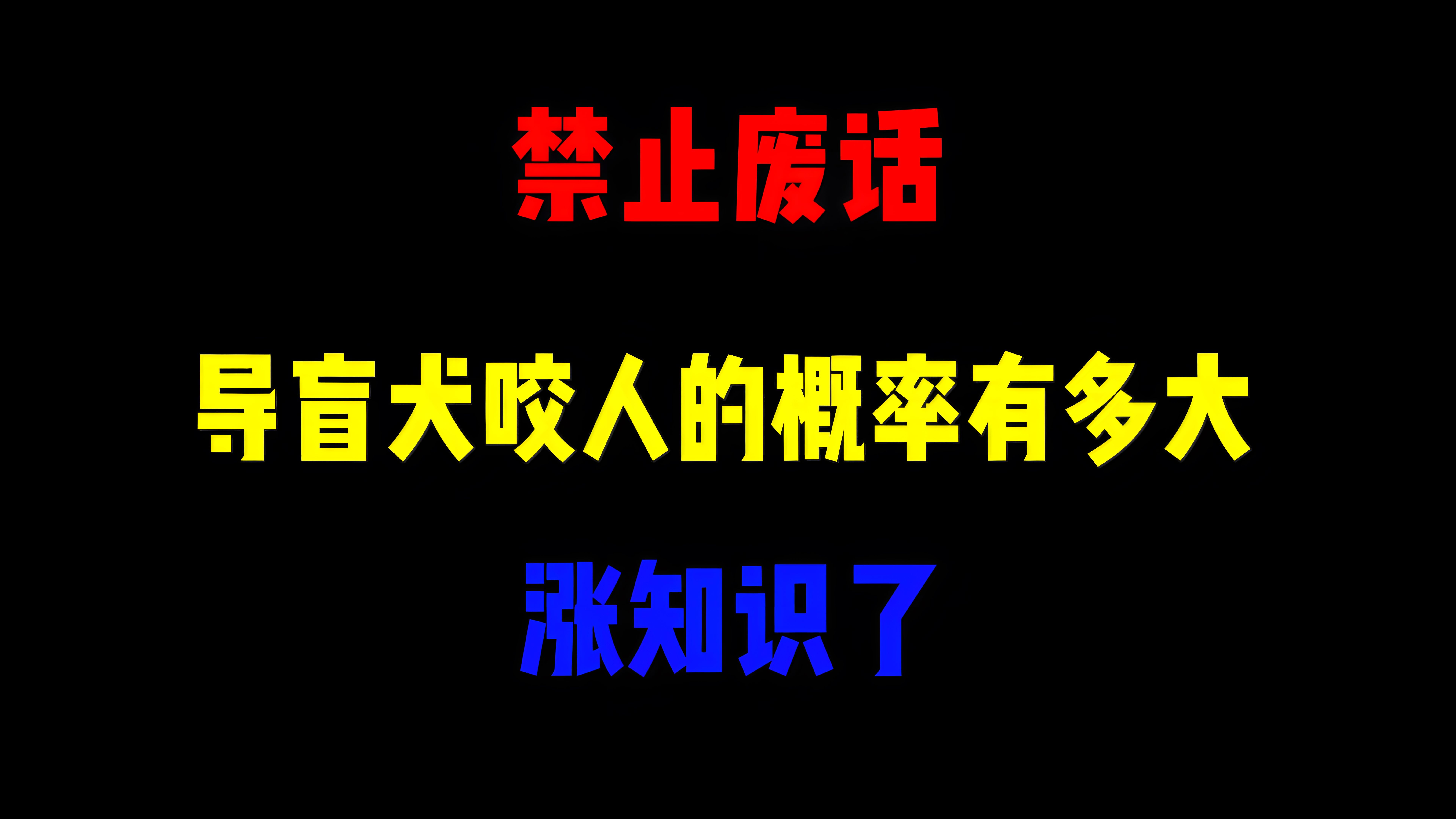 禁止废话:导盲犬咬人的概率有多大?涨知识了哔哩哔哩bilibili