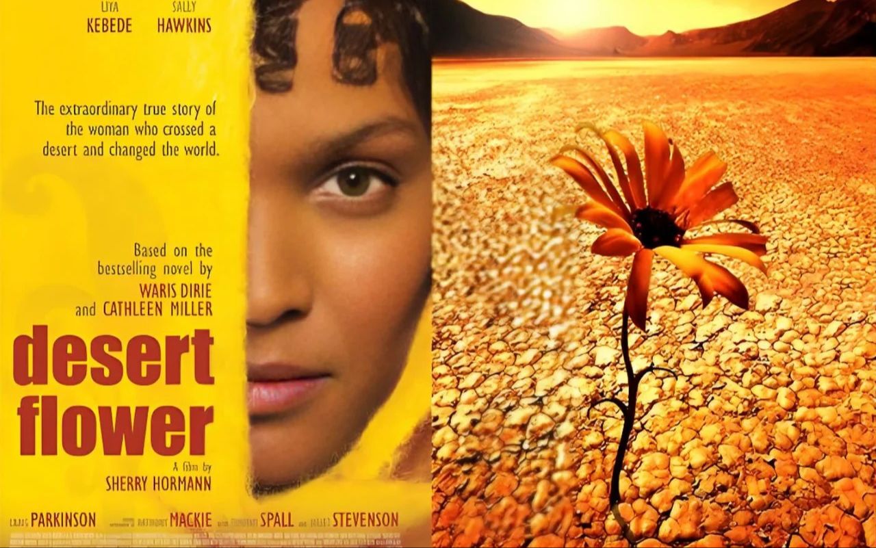 豆瓣8.8!揭示"割礼"的电影:沙漠之花