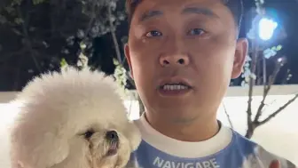 狗狗总伸懒腰,总撅屁股,真别觉得是可爱了,可能是胰腺在向你求救,早早发现省个大几千买点啥不好