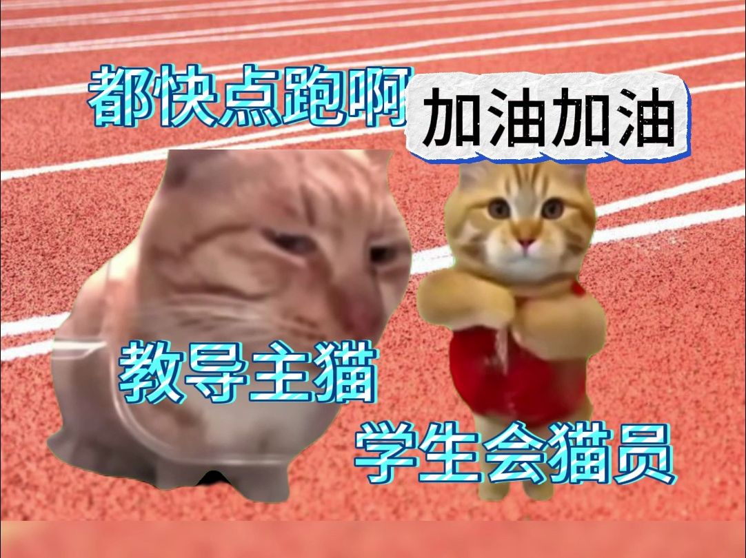 [图]【猫meme】你们班跑操也这样嘛？